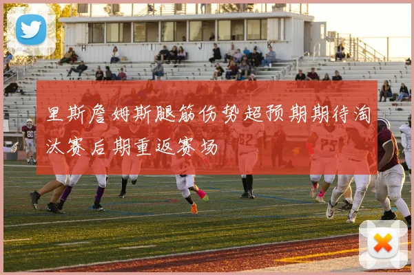 里斯詹姆斯腿筋伤势超预期期待淘汰赛后期重返赛场