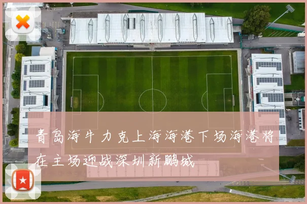 青岛海牛力克上海海港下场海港将在主场迎战深圳新鹏城